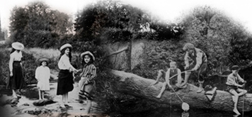ancestry