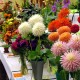 flower-displays