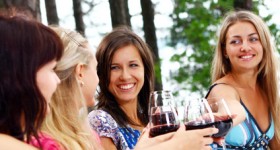 group of young womens drinking wine group of young womens drinking wine