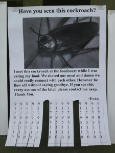 cockroach